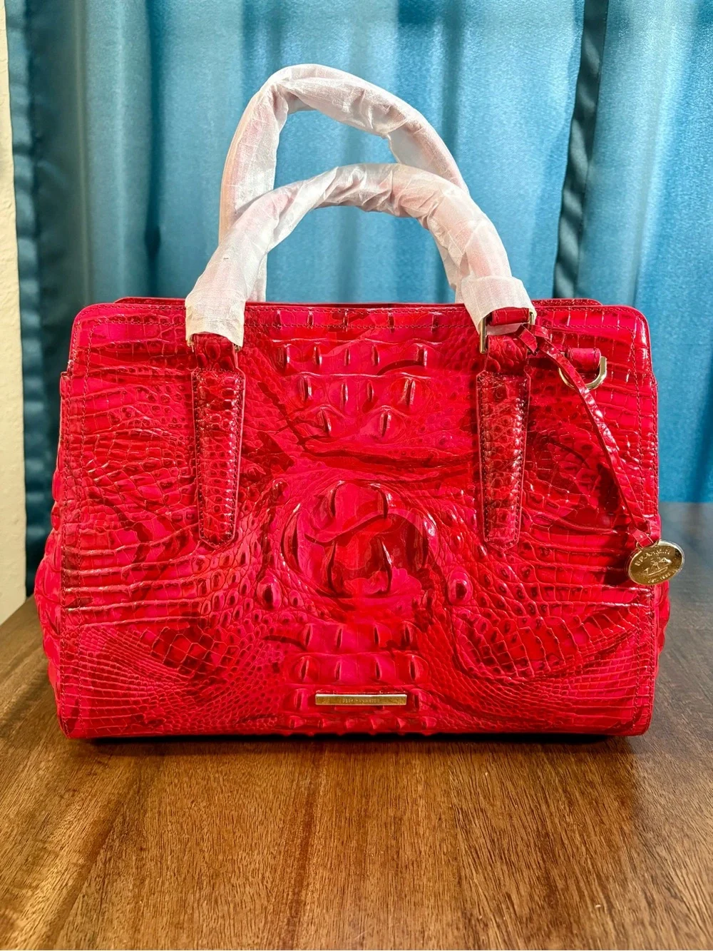 Brahmin ⭐️nwt—retired no